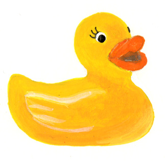 duck